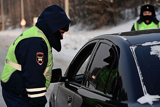 ГИБДД проведет сплошные проверки на дорогах