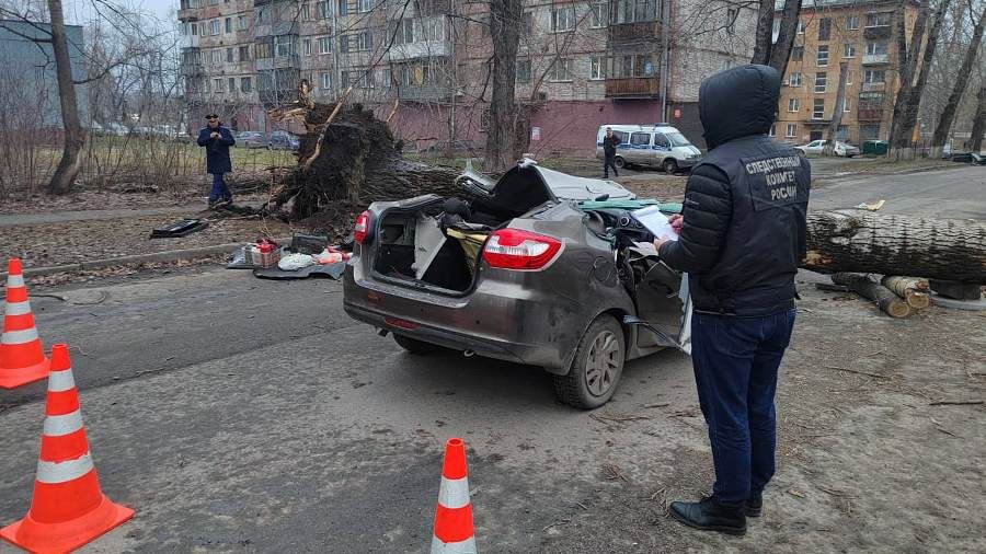 Два пассажира авто, на которое упало дерево в Новокузнецке, погибли